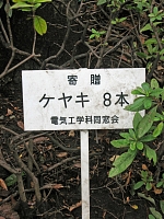 同窓会寄贈記念樹1